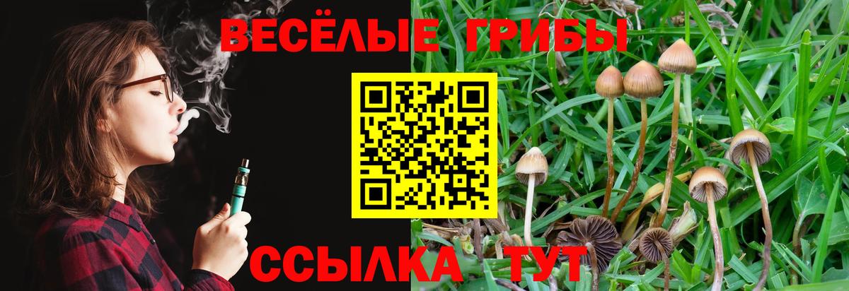 Галлюциногенные грибы Magic Shrooms Северодвинск